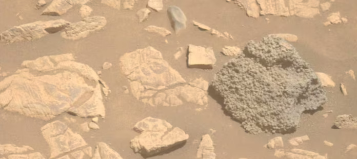 Primer plano de la roca ‘St. Pauls Bay’ con esferas gris oscuro captada por el rover Perseverance en el cráter Jezero